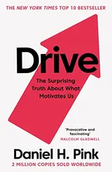 Cover of Drive