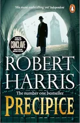 Cover of Precipice